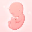 Ícone do programa: My Pregnancy