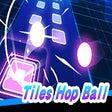 程序图标：Hop Ball Unblocked
