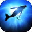 أيقونة البرنامج: Underwater Wallpapers  Th…