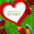 程序图标：Parrot Insta DP