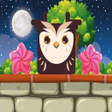 프로그램 아이콘: Owl Block