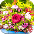 プログラムのアイコン：Wonderful Flowers Puzzle
