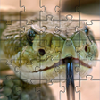 プログラムのアイコン：Snake games jigsaw puzzle…