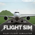 Pilot Flight Simulator BETA