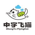 中宇飞猫 icon