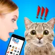 Cat Translate: Speak to your Kitten simulator