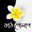 Icoon van programma: কঠ গলপ - উপনযস