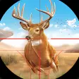 Wild Deer Hunting Games 2021