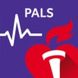 Programın simgesi: MGH PALS
