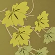 程序图标:Ivy Leaf Live Wallpaper