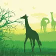 Icona del programma: Backyard Safari