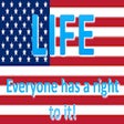 Programikonen: ProLife Words