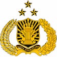 Ikon program: Polisiku Internal Presisi