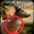 Deer Hunt Wild Classic Safari Deer Hunting