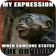 程序图标：Hilarious Funny Memes