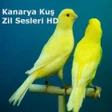Programikonen: Kanarya Kuş Zil Sesleri H…