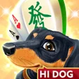 Icon of program: 哈狗台灣3缺1-台灣麻將鬥牛鬥地主各式娛樂城遊戲