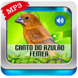 Иконка программы: Canto do Azulão Fêmea