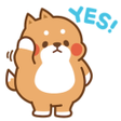 Programikonen: Animated Tonton Stickers …