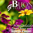 Icon of program: Italian Morning Night Gre…