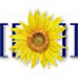プログラムのアイコン: Mediawiki Cite Web Markup…