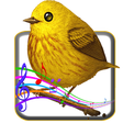 プログラムのアイコン：Bird Sounds