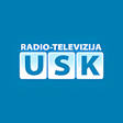 程序图标：RTVUSK
