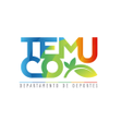 Programikonen: Deporte Municipal Temuco