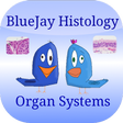 程序图标：Organ Flashcards: Histolo…