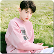Programikonen: Ding Yuxi 丁禹兮 Wallpaper