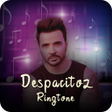 プログラムのアイコン：Ringtones of Despacito