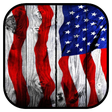 Programikonen: American Flag Wallpaper