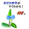 Programikonen: 身近な野草がすぐわかる