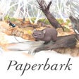 Ikon program: Paperbark