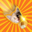 ไอคอนของโปรแกรม: Candy Cat