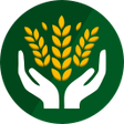 Programikonen: Paddy Procurement System