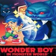 ไอคอนของโปรแกรม: Wonder Boy in Monster Wor…