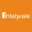 プログラムのアイコン：INTELYVALE