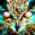 Icoon van programma: Spirit Animal Oracle Card…