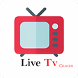 Programın simgesi: Live Tv All Channels guid…