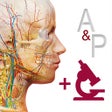 رمز البرنامج: Anatomy & Physiology