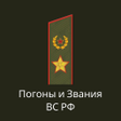 Icon of program: Погоны и звания ВС РФ