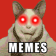 程序图标：Meme Foundation Clicker G…