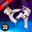 Ícone do programa: Karate Do Fighting Tiger …