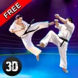 Karate Do Fighting Tiger 3D - 2