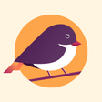Programikonen: Bird - UnlimitedSecure Se…