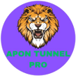 Programikonen: APON TUNNEL PRO