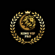 程序图标：KING VIP PRO