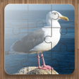 Icon of program: Bird Puzzle Games