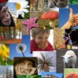 أيقونة البرنامج: Picturenality-Personality…